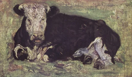 Lying Cow